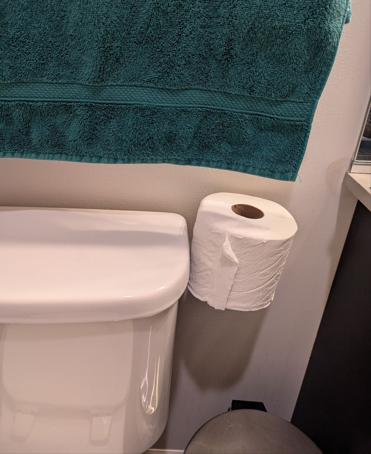Side-mounted 3D-printed toilet paper holder installed on a tank